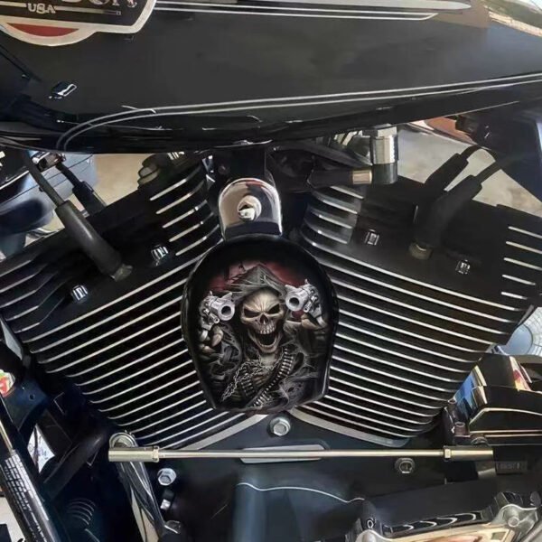 Alternative view of Horn Cover